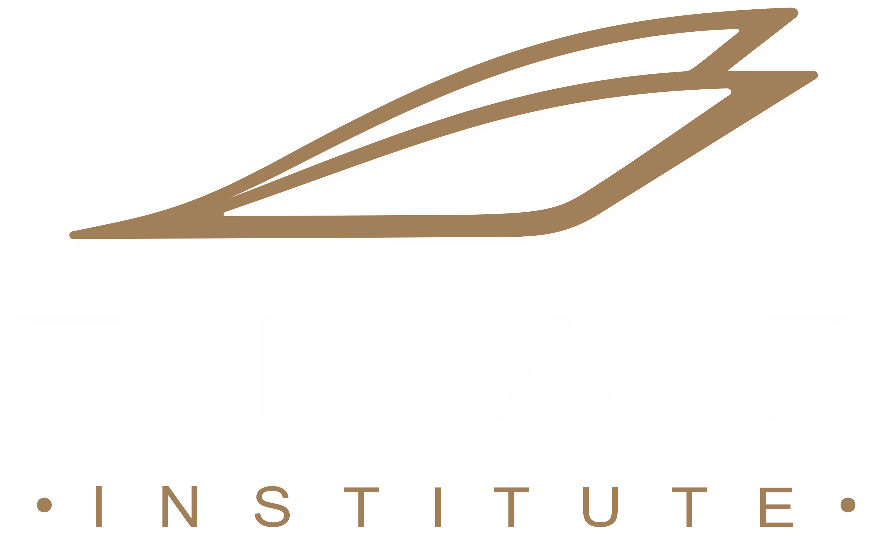 FLAP INSTITUTE
